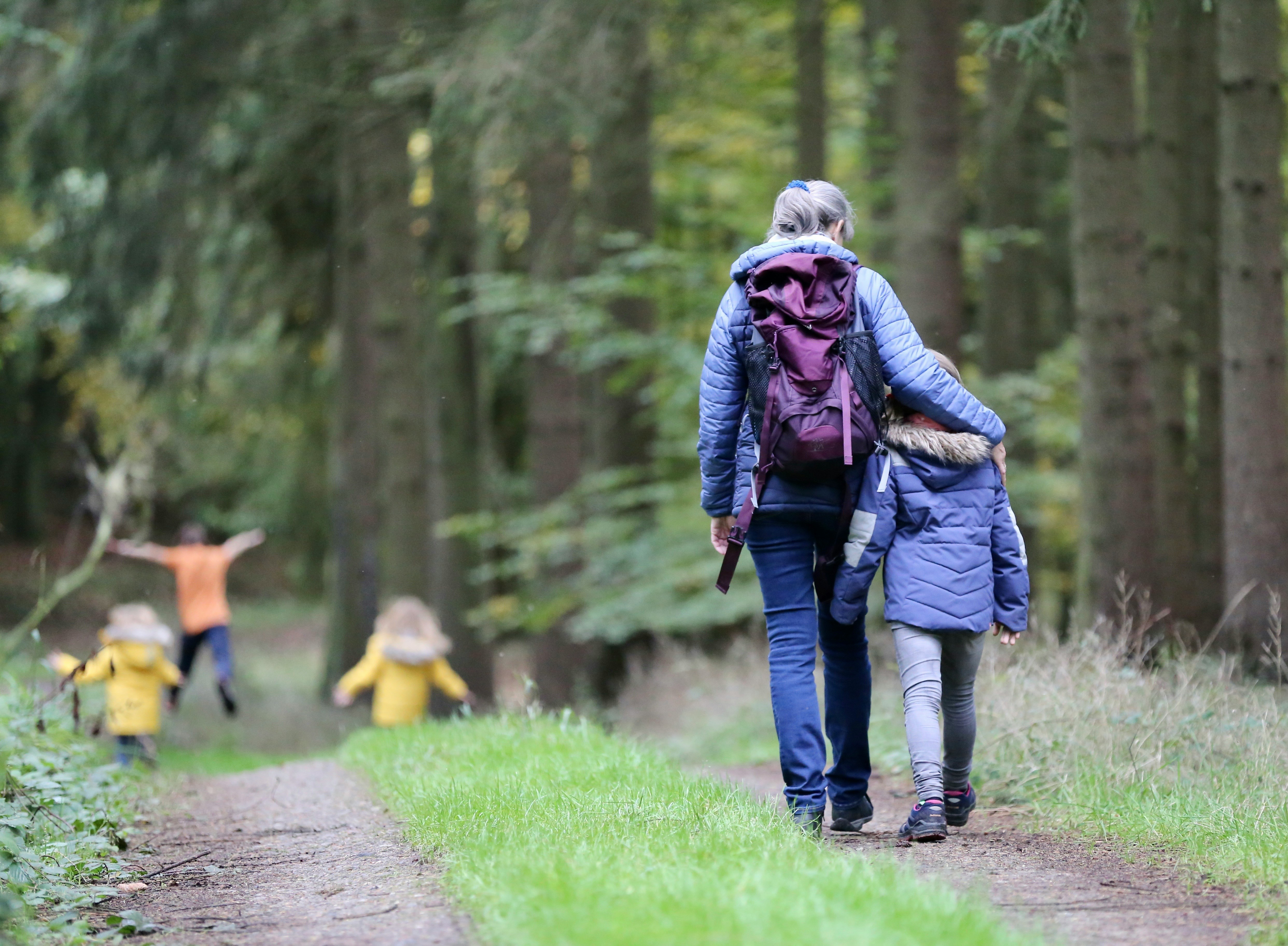 Guided Walking for families on Dartmoor, Devon, Cornwall, Tamar Valley
