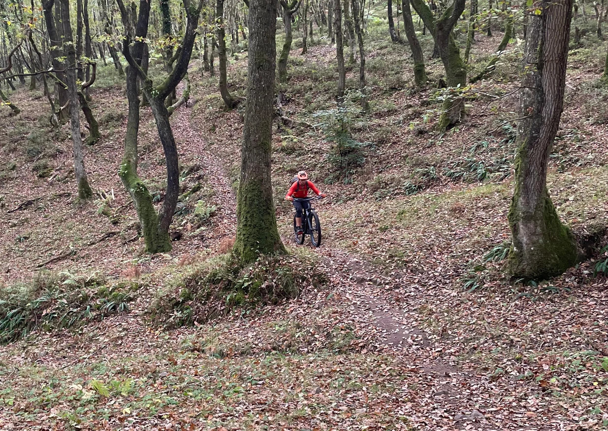 Mountain Biking