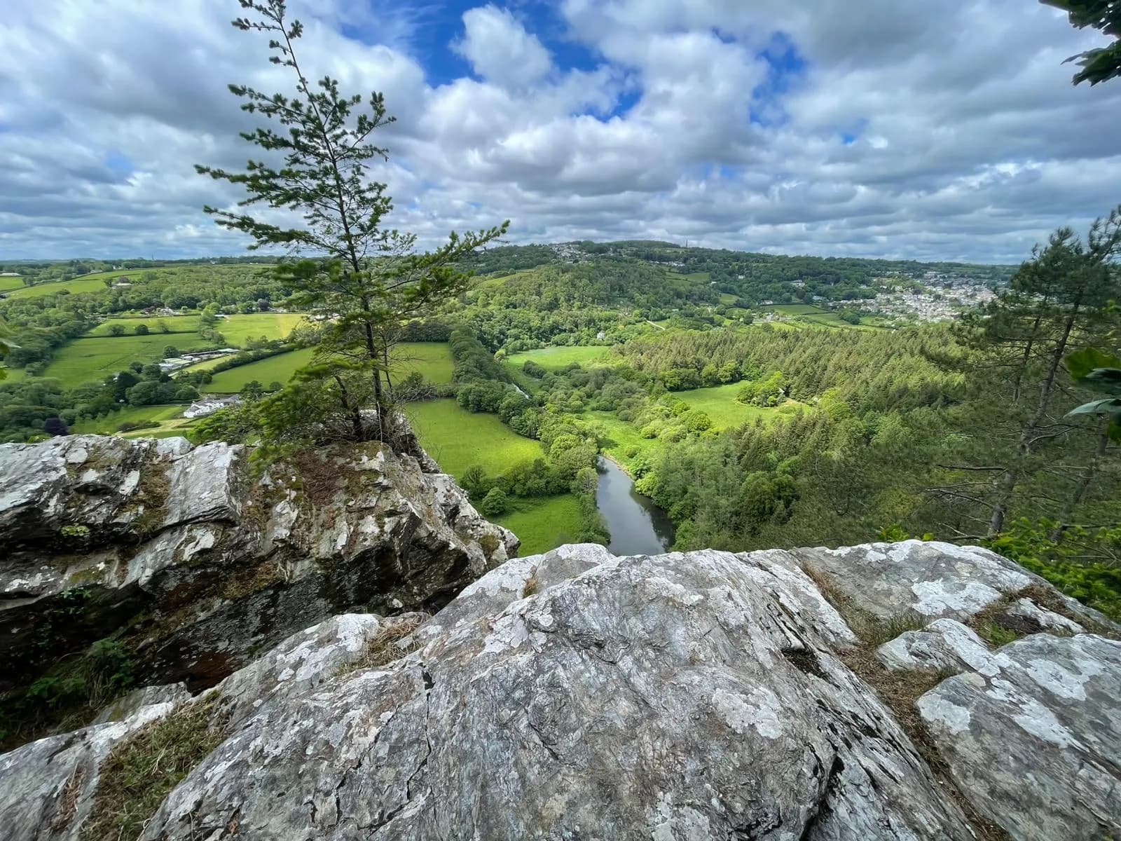 Guided Walks